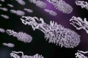 Jon Heras - Engineered bacteria, conceptual image
