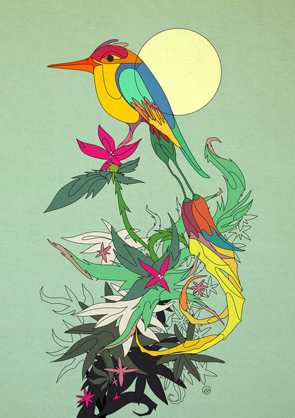 Tropical Bird - Nic Brennan - Cambridge Illustrators